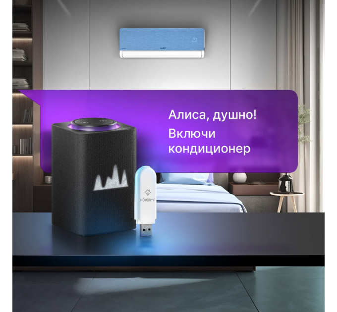 Модуль съемный управляющий HOMMYN HDN/WFN-02-01