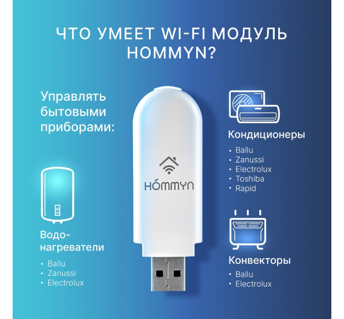 Модуль съемный управляющий HOMMYN HDN/WFN-02-01